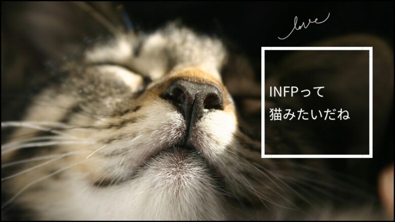 INFPは猫みたい？猫っぽい10の特徴＆魅力をフル活用する3ステップ - INFPオフィシャル